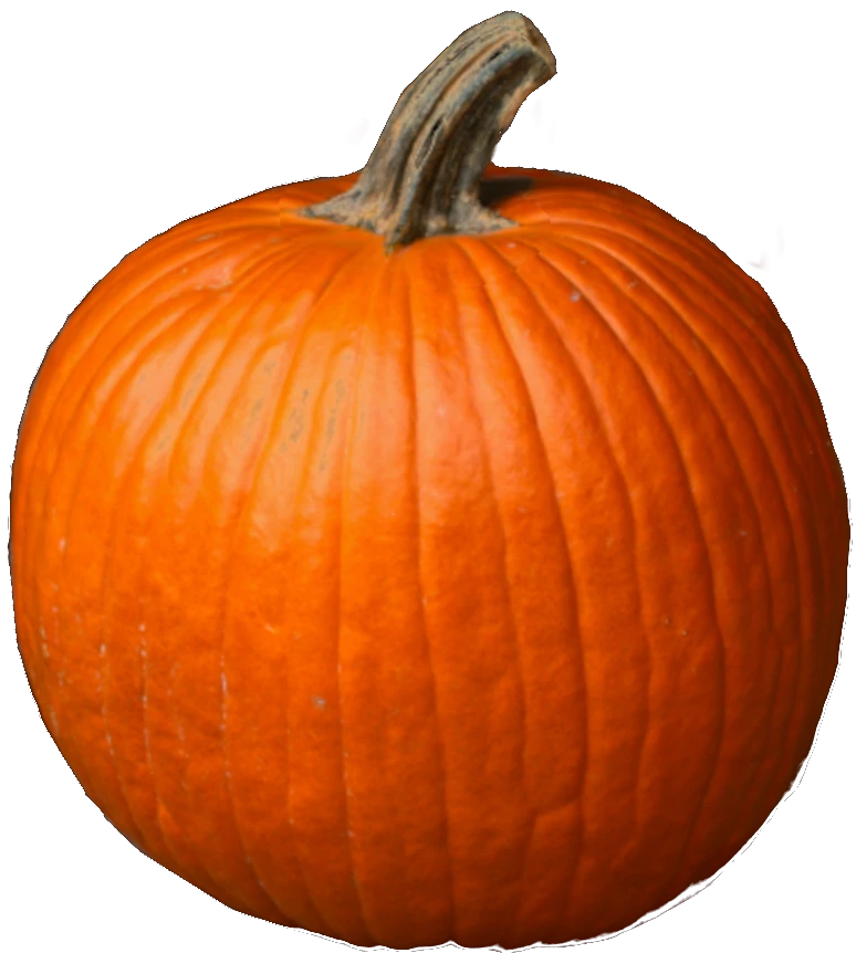 carved pumpkin